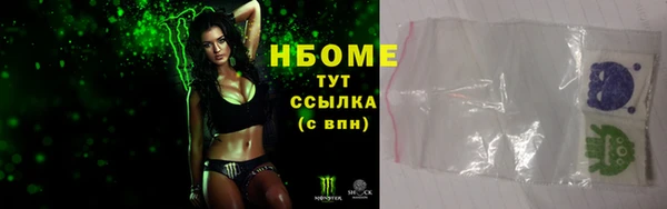 твердый Щигры