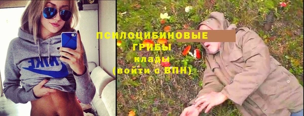 сатива Красноперекопск