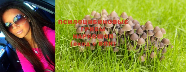 ECSTASY Яровое